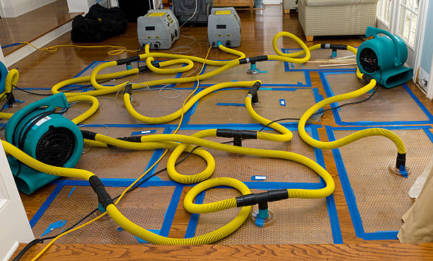 Professional Crawl Space Water Removal technician working in Dansville, MI